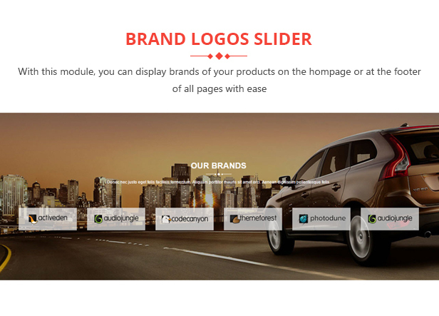 des_13_brand_slider