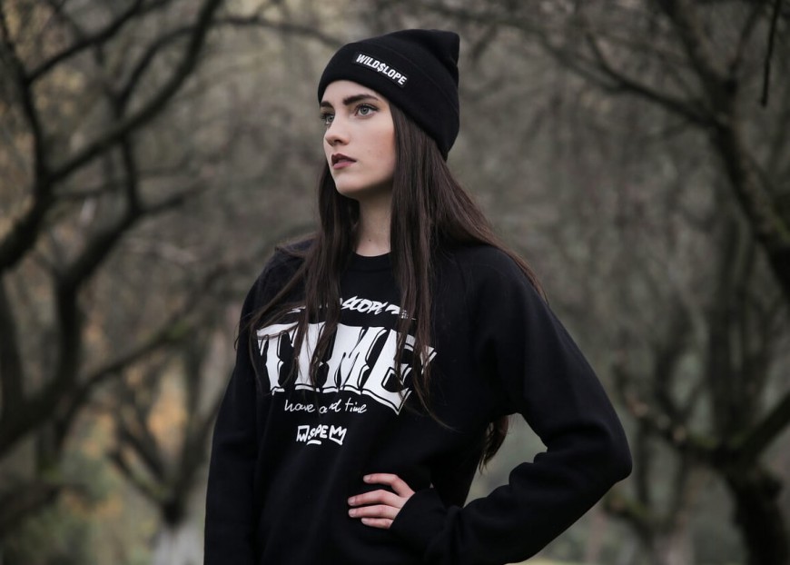 Integer vitae libero ac risus egestas  placerat.