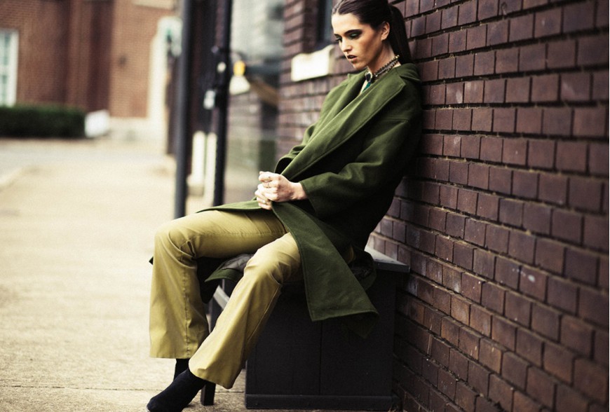 Pellentesque fermentum dolor.