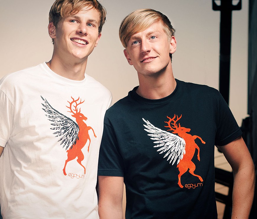 Aliquam tincidunt mauris eu.