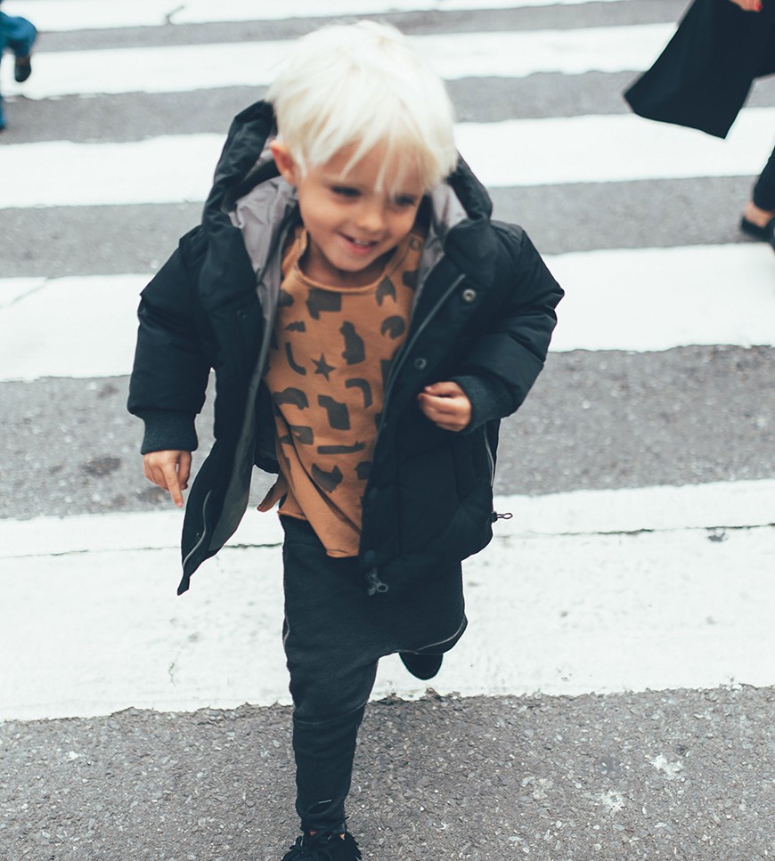 Integer vitae libero ac risus