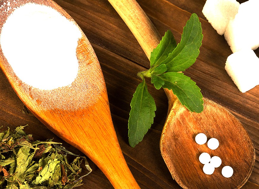 Proin gravida nibh velit auctor bibendum