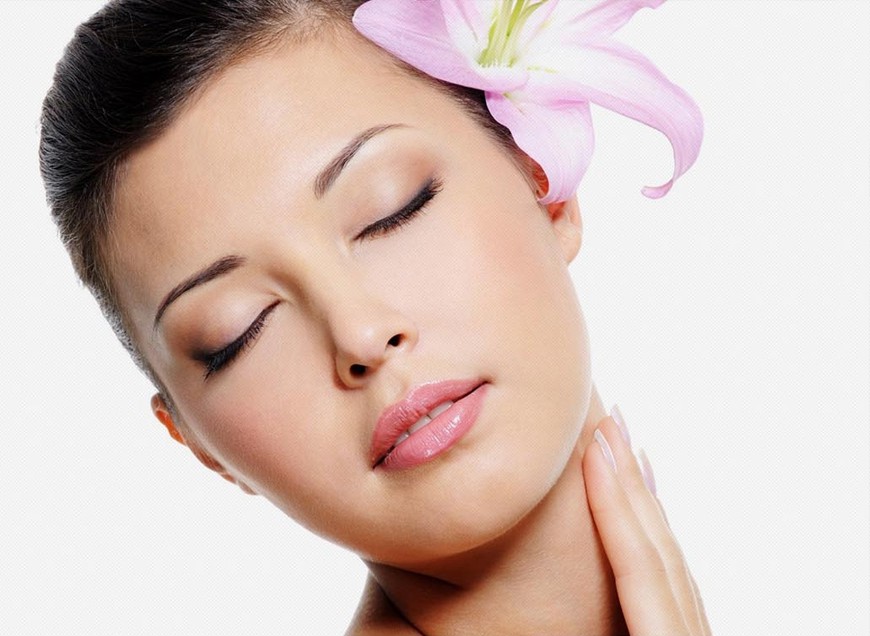 Proin gravida nibh velit auctor bibendum