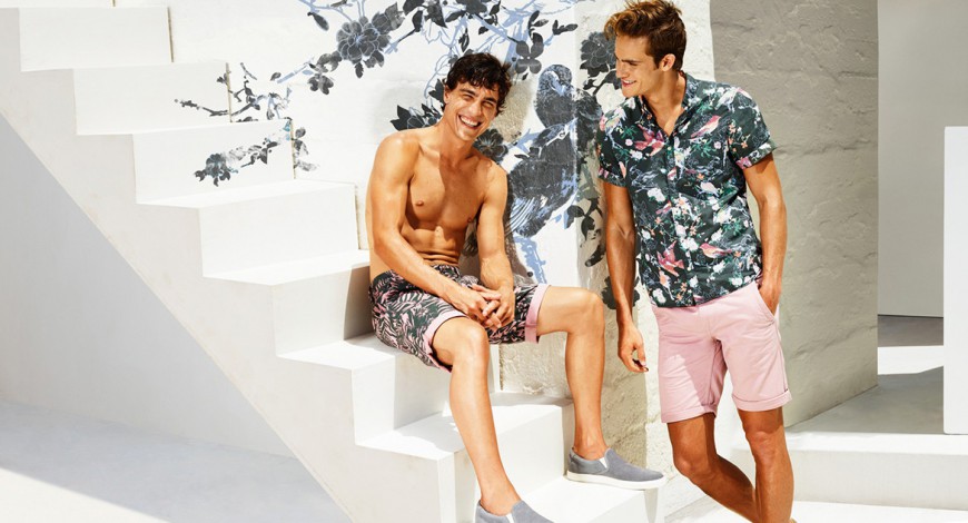 Aliquam tincidunt mauris eu risus.