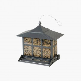 copy of Beautiful Dog