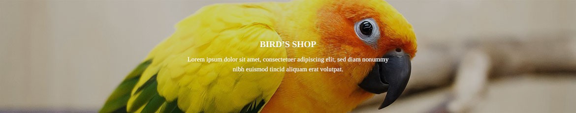  Salon & Spa Equipment