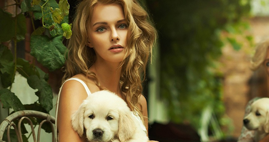 Vivamus vestibulum nulla nec ante.