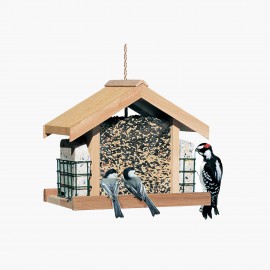 Bird's House