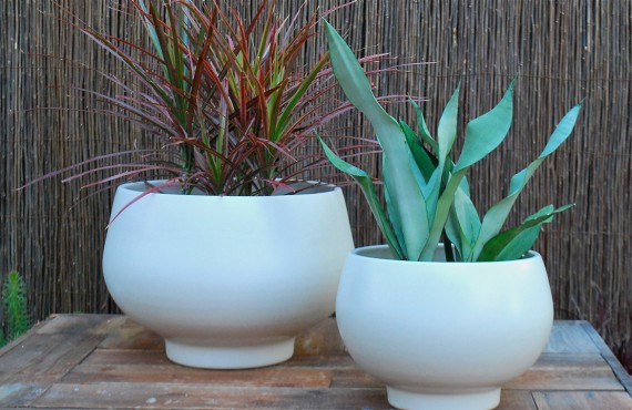 Lorem ipsum dolor sit amet, consectetuer  adipiscing elit.