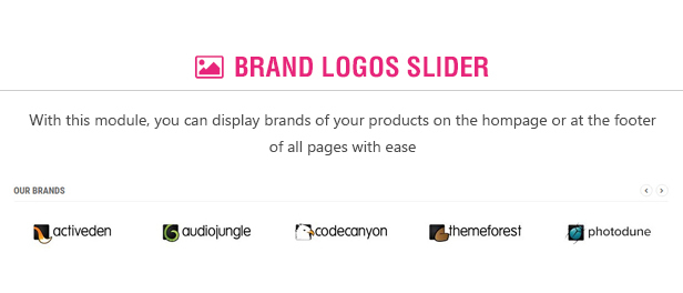 des_13_brand_slider