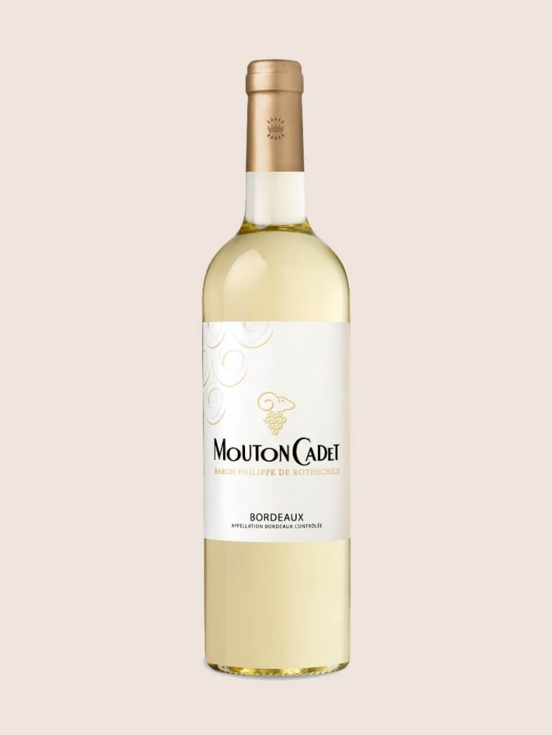 Gabbiano