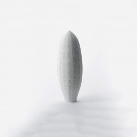 Ut enim ad minim veniam